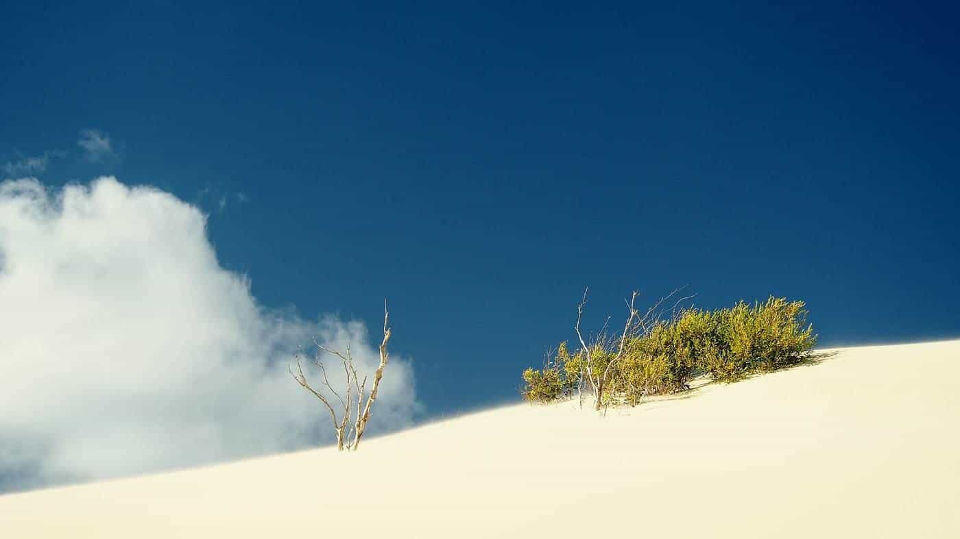 Sand dunes and tracks on K'gari (Fraser Island)