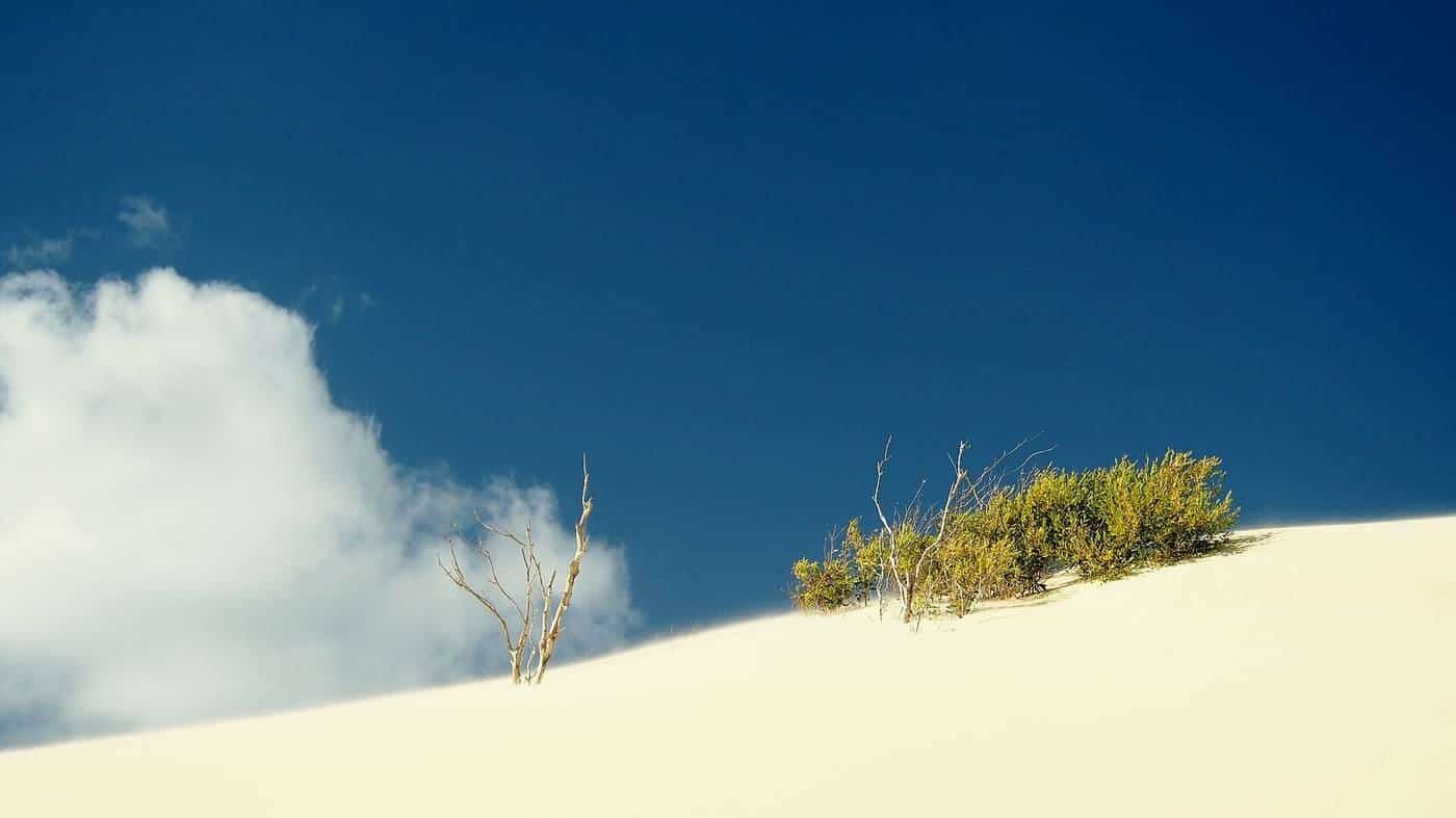 Sand dunes and tracks on K'gari (Fraser Island)