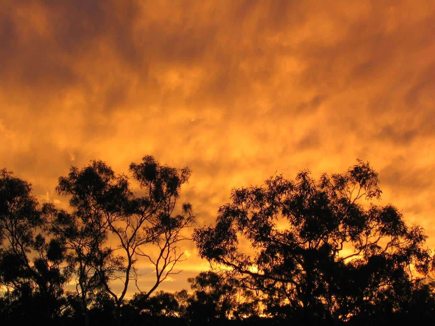 A vehicle on the Gibb River Road in the Kimberley